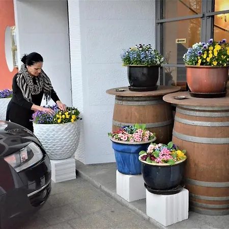 Hotel Ulmer Stuben Ulm